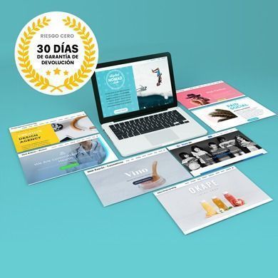 web express + mantenimiento premium